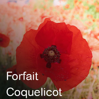 Forfait Coquelicot  80€00.